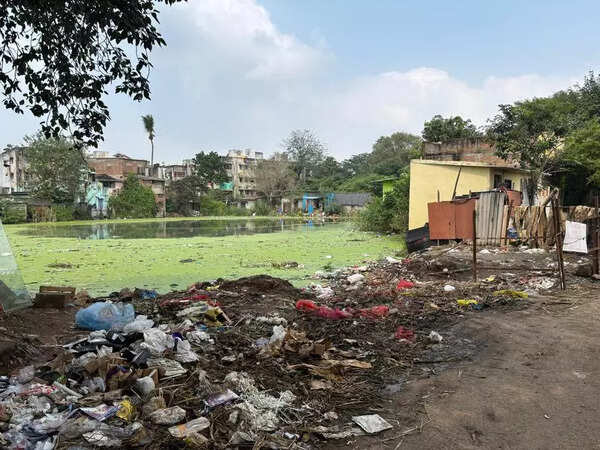 Pallavaram's Ramsamy Chetty Pond choked with garbage, meat waste