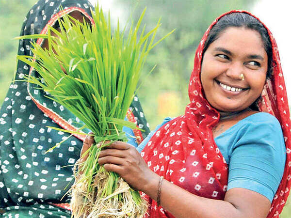 Trying to address farm challenges: Gujarat chief secretary