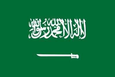 Saudi Arabia executes prince