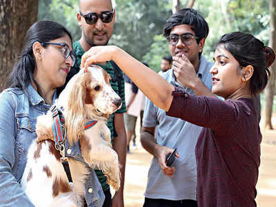 Microchipping pet dogs compulsory soon