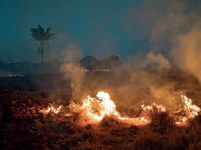 Brazil sends in army to fight Amazon fires