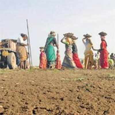 NREGS not doing so well: Centre