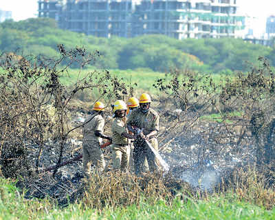 Blame game over inferno rages on