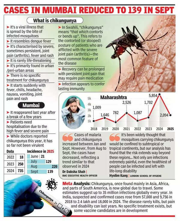 51 lakh at risk of chikungunya every year in country: Study