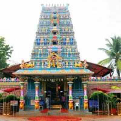 Telangana temples skip pujas, pray for separate state