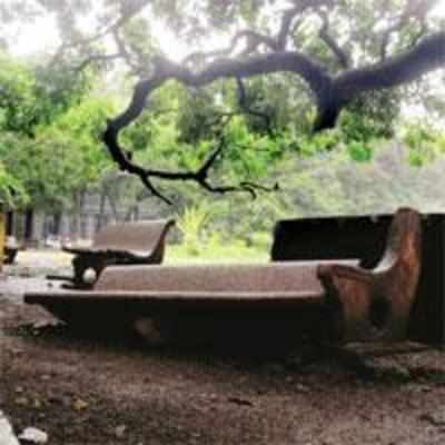 Dadar's Five Gardens  set to turn a new leaf