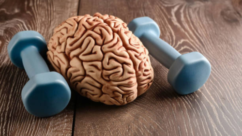 10 effective brain exercises to start the day with​