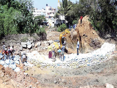 Experts tell BBMP to take onus of all lakes