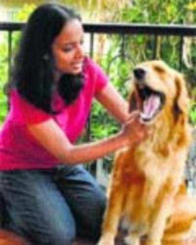 A dabba for hungry dogs