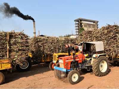 Government cancels loan guarantee of 7 sugar mills of BJP leaders including Pankaja Munde