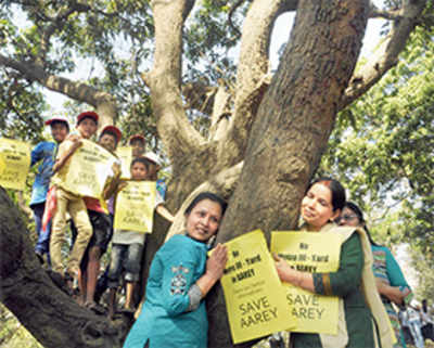 Hope for Aarey trees as BMC to conduct census