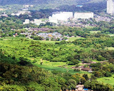 Aarey loses 3 more hectares