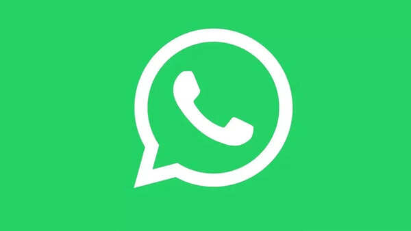 How to use WhatsApp members tag in WhatsApp