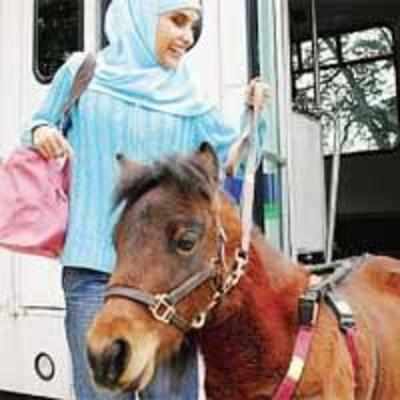 Blind woman uses miniature horse instead of guide dog