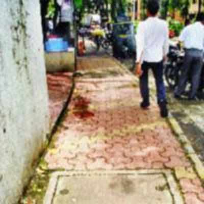 BMC says no mosquitoes