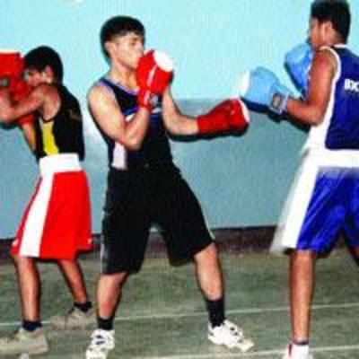 Thane Boys make their mark in state-level boxing tourney