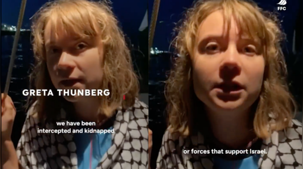 'Intercepted and kidnapped,' claims Greta on way to Gaza