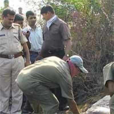 Hacked body of woman found in suitcase at Virar