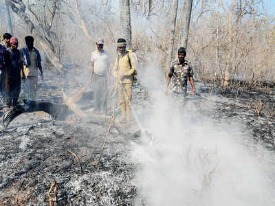 Indian Air Force lends a hand to douse Bandipur fire