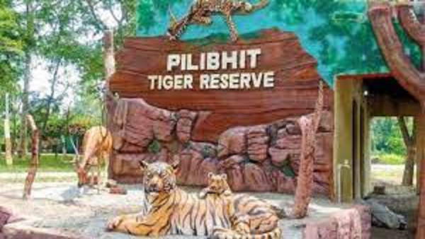 Tiger mauls farmer to death in PTR, 3rd kill in a month