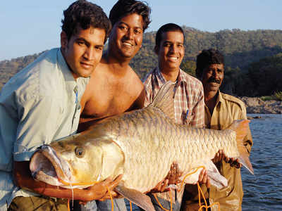 Famed humpback mahseer now endangered