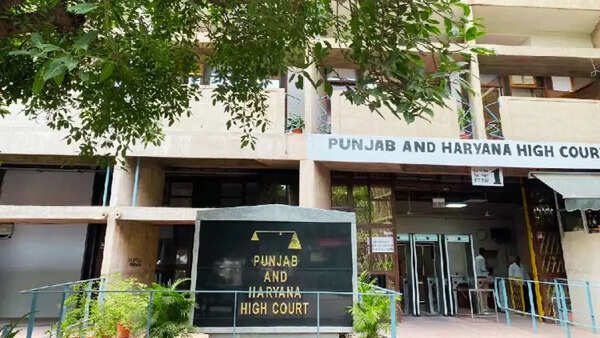 HC seeks reply from Punjab PCB on Trident’s plea against ‘coercive’ search