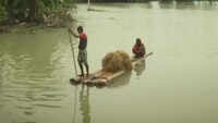 Flood woes continue to haunt Assam 