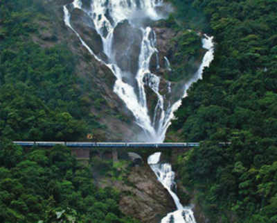 Forest department to regulate entry of tourists to Dudhsagar water falls