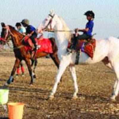 Thane riders bag four medals at first state equestrian competition