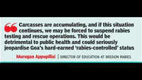 Carcass disposal crisis puts Goa&rsquo;s &lsquo;rabies-controlled&rsquo; status in jeopardy
