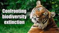 World to lose one million species soon 