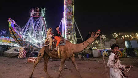 Poll-related cash seizures hit cattle trade at Pushkar fair