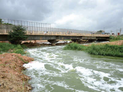 After Cauvery, Karnataka and Tamil Nadu in a new river dispute