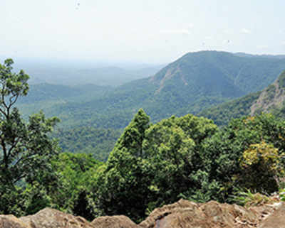Agumbe, Wettest place in K’taka, is fast going dry