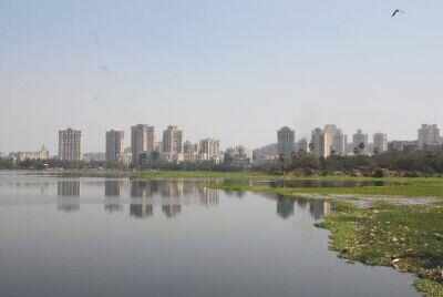 Bodies of brothers who drowned in Powai lake found