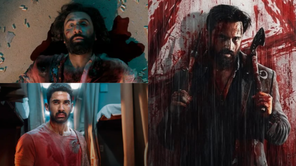 From 'Animal', 'Kill' 'HIT 3': How brutal action thrillers are taking over Indian cinema?
