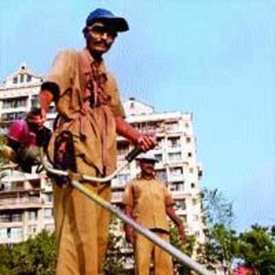 Mechanised grass cutters to clean up gardens in the satellite city