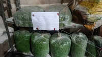 FDA seizes 16 tonnes of jaggery, 20 tonnes of sugar intended for adulteration, and 68 kg of fried green peas laced with artificial colours