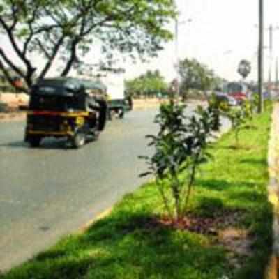 JVLR to be completed next month