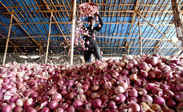 DoCA calls for better onion storage amid export slump