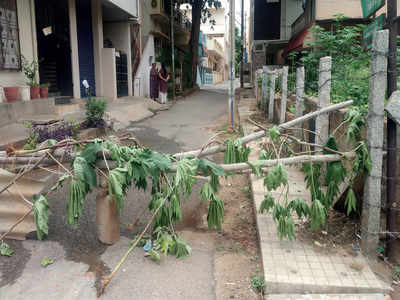 Guess what? Even the barricades are back