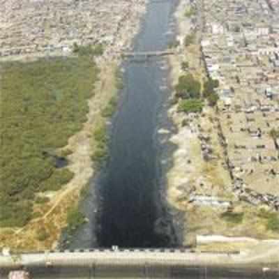 Mithi waters to be curbed with raised platform