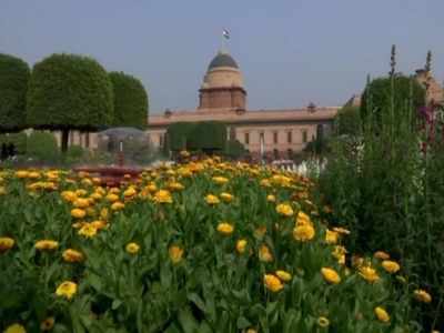Mughal Gardens of Rashtrapati Bhavan to open for public from today