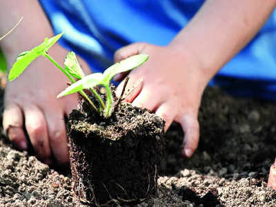 Shikaripalya goes green: Students, volunteers & residents plant 50+ saplings