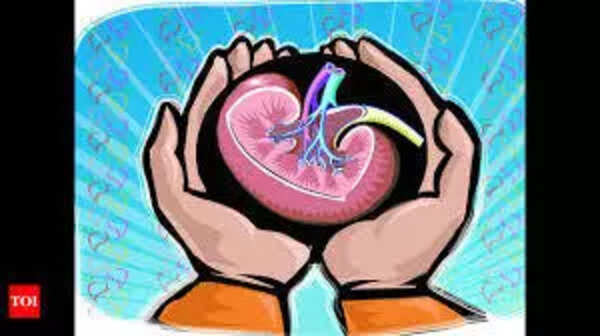 Persons with history of diabetes, high BP can be deceased donors: Expert group