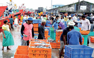 Karnataka: Amid row, state rules out formalin in fish
