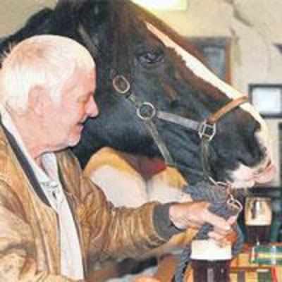 Pub bans mare from boozing in the bar!