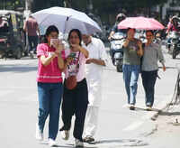 Hotter, drier monsoon likely; India may see up to 2&deg;C rise