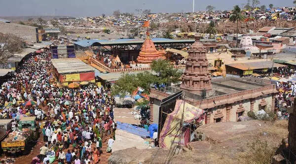 Renuka Yallamma Temple zone to go stray-animal free