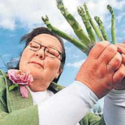 Brit woman tells future with asparagus